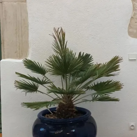 Place Of The Goddess * Damvillers