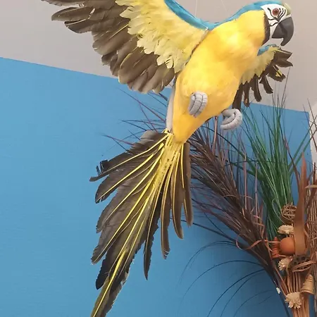 Place Of The Goddess * Damvillers